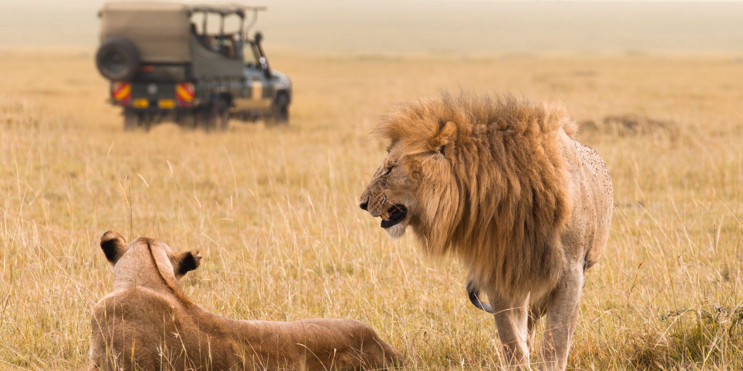 SERENGETI- RUAHA SAFARI EXPEDITION